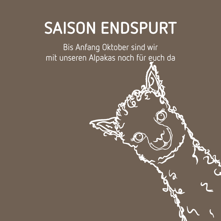 Alpaka Animation Endspurt